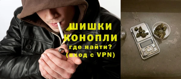 прущие грибы Балахна