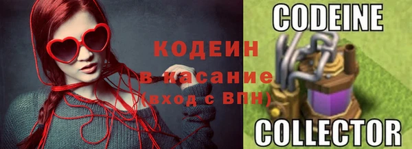 прущие грибы Балахна
