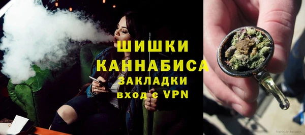 прущие грибы Балахна