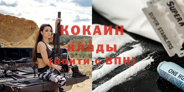 прущие грибы Балахна