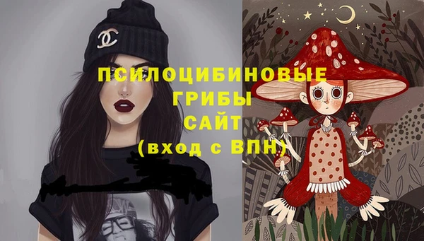 прущие грибы Балахна