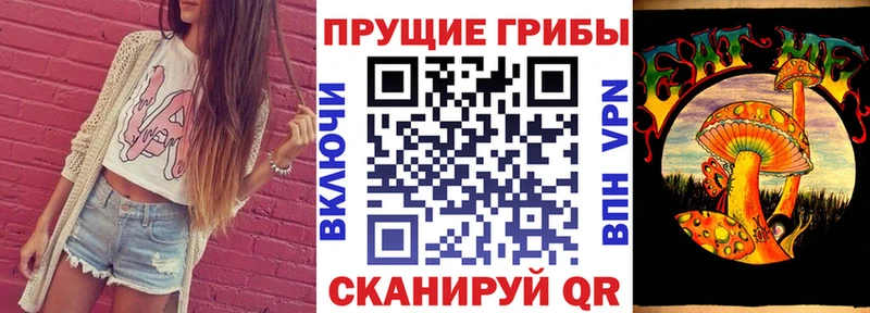 Псилоцибиновые грибы Psilocybine cubensis  что такое наркотик  Кудрово 